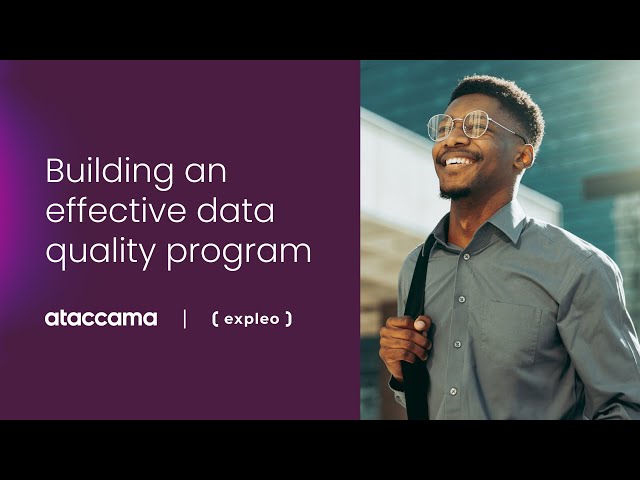 Building an effective data quality program