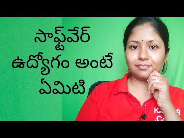What Is a Software Job? Explained in Telugu