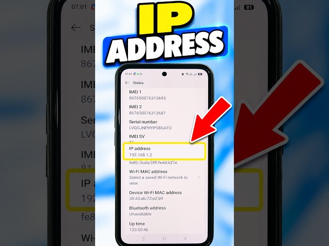 How to Check Your Phone IP Address | Find IP Address Settings on Android & iPhone