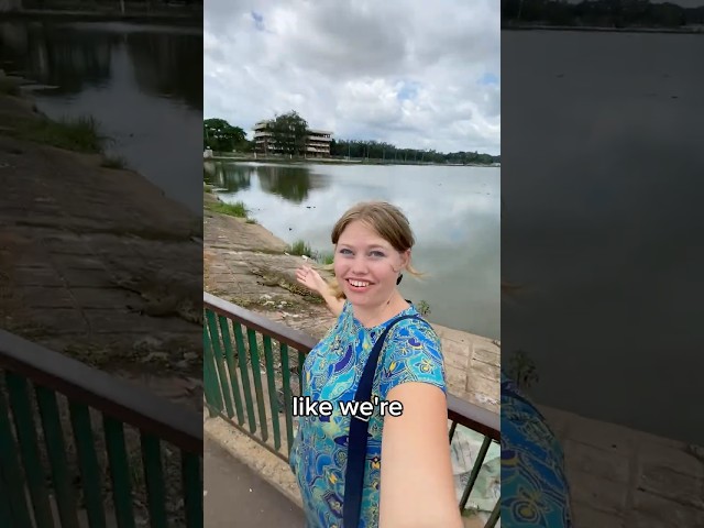 Crocodiles… in the middle of a city?! 🐊😳🇨🇮