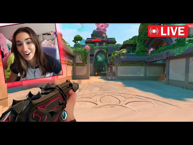 First LIVE Stream!!