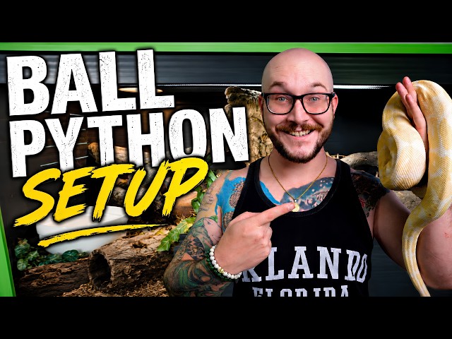 Complete Ball Python Enclosure Setup Guide 2026