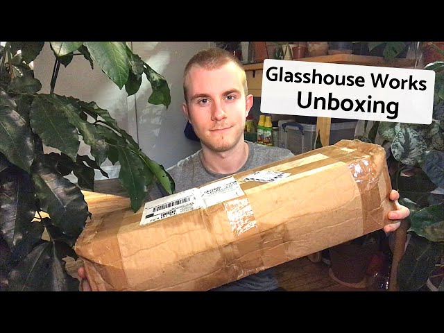 Houseplant Unboxing | Glasshouse Works
