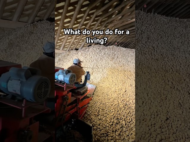 What do you do for a living? #farming #agriculture #farmer