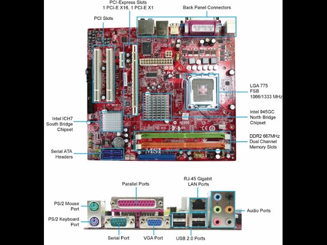Computer HARDWARE in detail