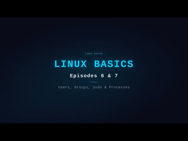 Linux Users, Groups, Sudo & System Monitoring | Complete Beginner's Guide (Episodes 6 & 7)