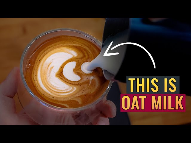 How To Steam Oat Milk for Latte Art