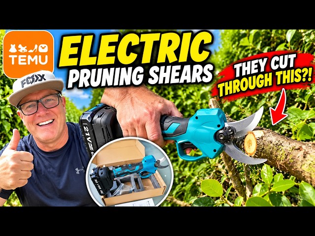 TEMU Electric Pruning Shears  THEY CUT THROUGH THIS?! 😲🌳