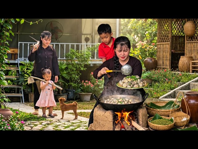 Harvesting taro and preparing the traditional dish of braised meat with taro.