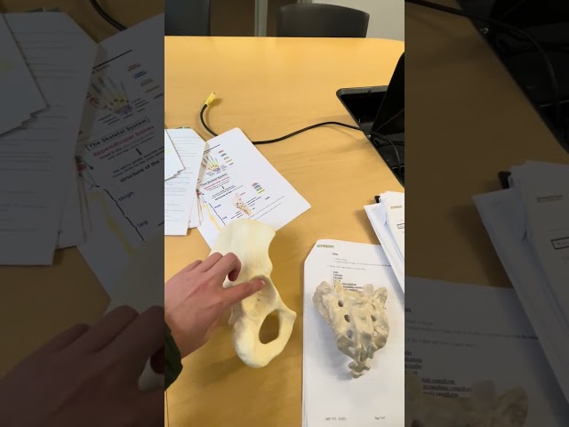 Anatomy & Physiology Lab Exam 1 (Part 1 speed review)