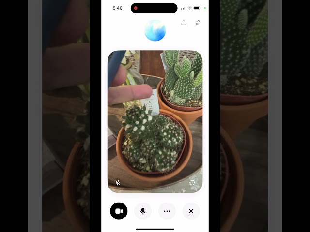 Using ChatGPT's Camera Feature for the First Time | ChatGPT's New Live Camera Feature Demo