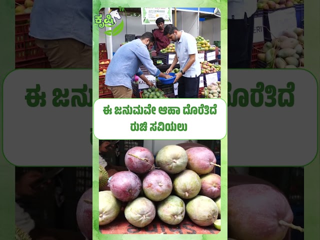 ಈ ಜನುಮವೇ ಆಹಾ ದೊರೆತಿದೆ ರುಚಿ ಸವಿಯಲು| lalbagh Mango Mela