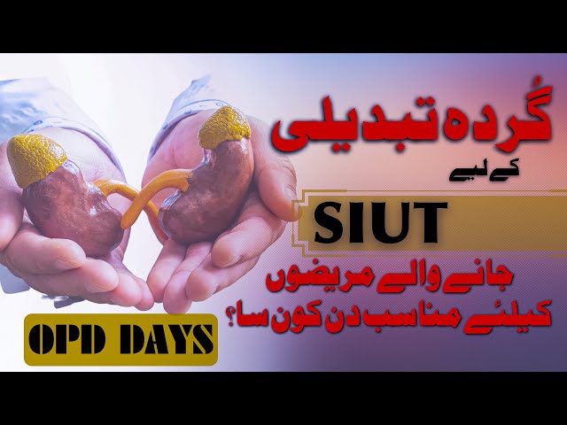 A Guide to Initiate the Renal Transplantation Journey | #Day One