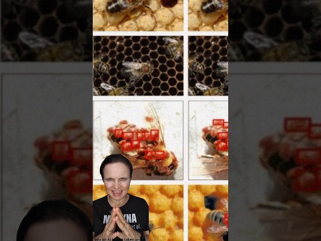 AI for Varroa mites