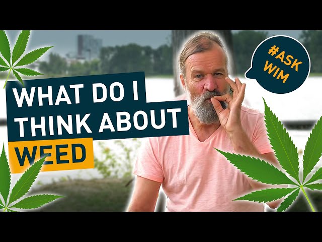 Iceman Wim Hof and Weed? #AskWim