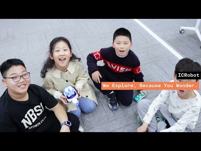 ICrobot Deep Seek AI coding robot