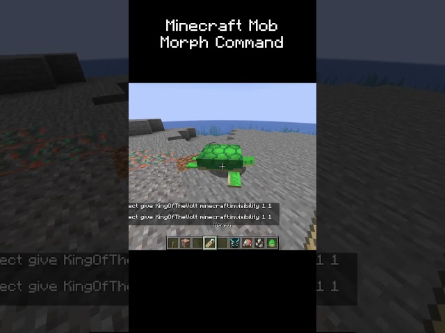 Mob Morph Command 💥 #minecraft #gaming #morph #minecraftmorph