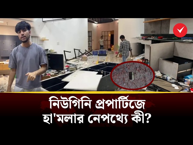 নিউ গিনি প্রপার্টিজে হা/মলা, অর্ধশত কোটি টাকার ক্ষতি | TOB Explainer