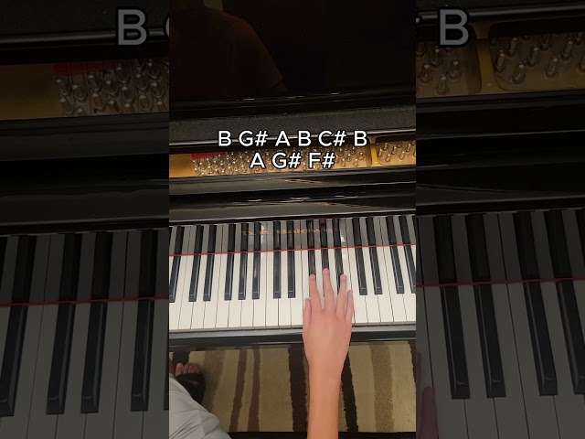 EASY Flower Man Piano in 26 seconds🌸 Deltarune Chapter 5 Tutorial