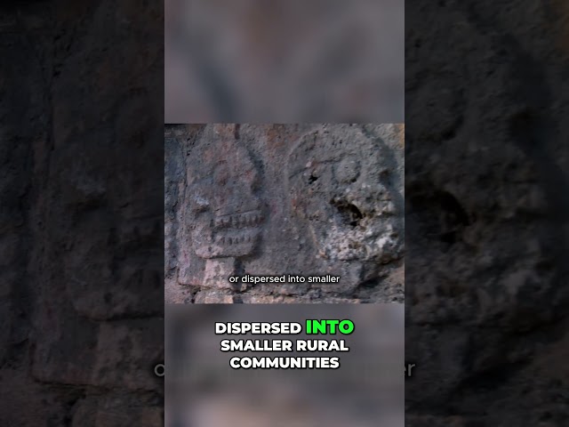Maya Civilization  Collapse and Survival Secrets Revealed