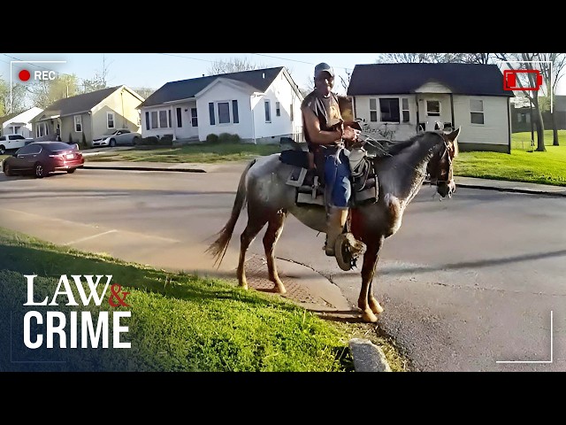 5 Strange Police Stops Caught on Bodycam