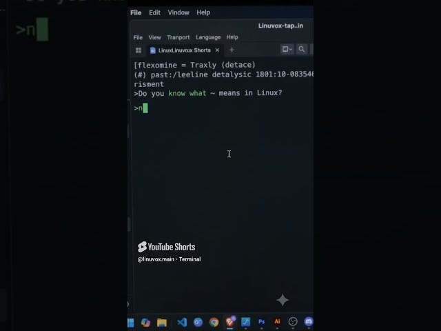 What does ~ means in linux terminal