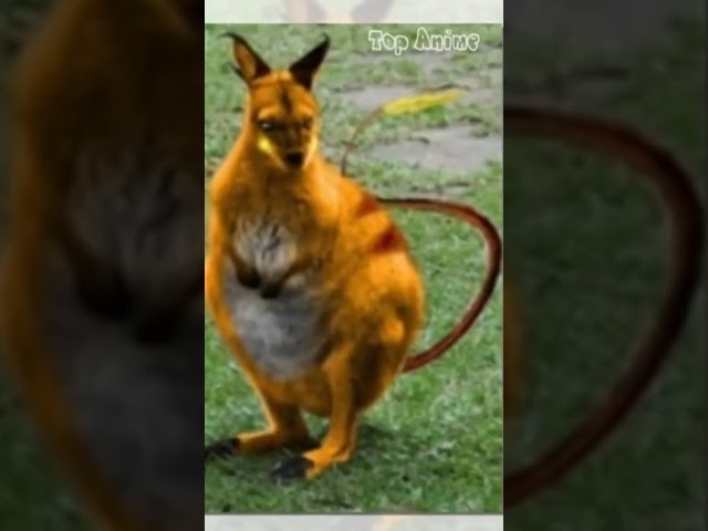 Raichu Pokemon in Real Life! #shorts