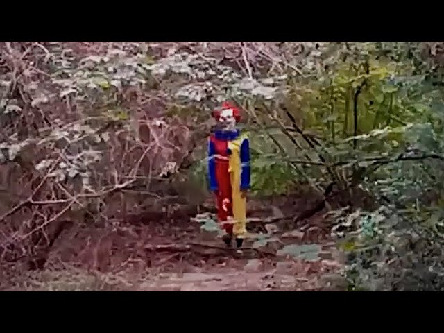 6 Most Disturbing Forest Encounters Caught on Camera