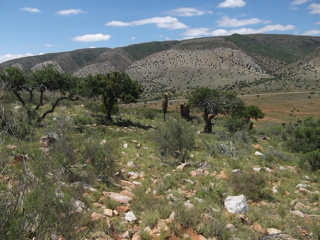 Episode 29a - Expectancy and Spontaneity - Part 1 My Medicine Wheel Journey to Self Healing
