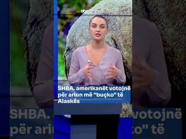 SHBA. amerikanët votojnë për ariun më "buçko" të Alaskës