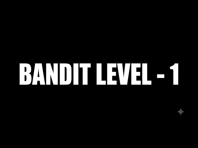 Bandit Level 1 (OverTheWire): My Terminal Just Froze
