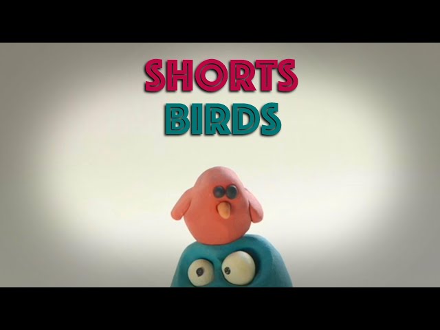 Birds #animation #waaber