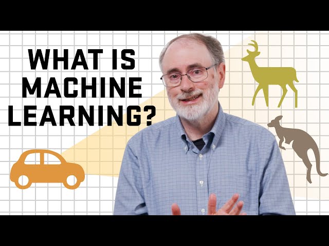 Expert Answers | What is machine learning?