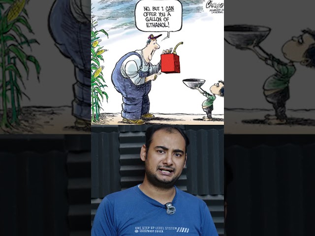 How COOL DOWN the PLANET