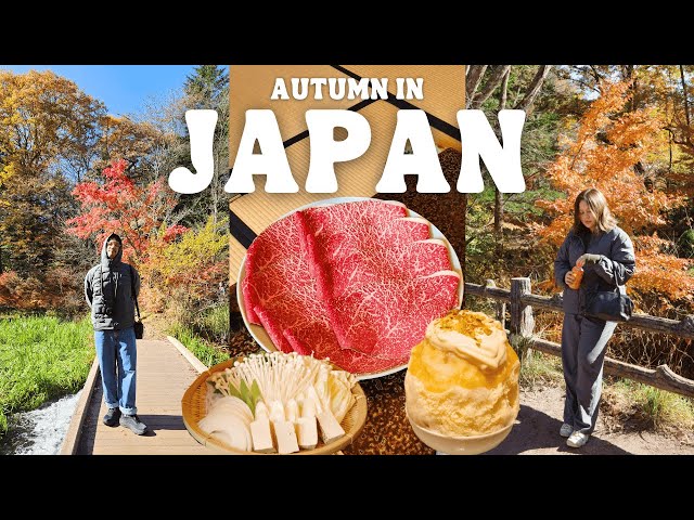 Autumn in Japan Vlog 🇯🇵 4 Days in Tokyo with UNIQLO, Karuizawa, Nagano Japan, Uniqlo Shinjuku Honten