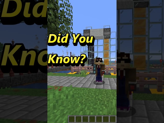 Did You Know Honey Blocks Slow Down Items Falling in Minecraft? #minecraft #didyouknow