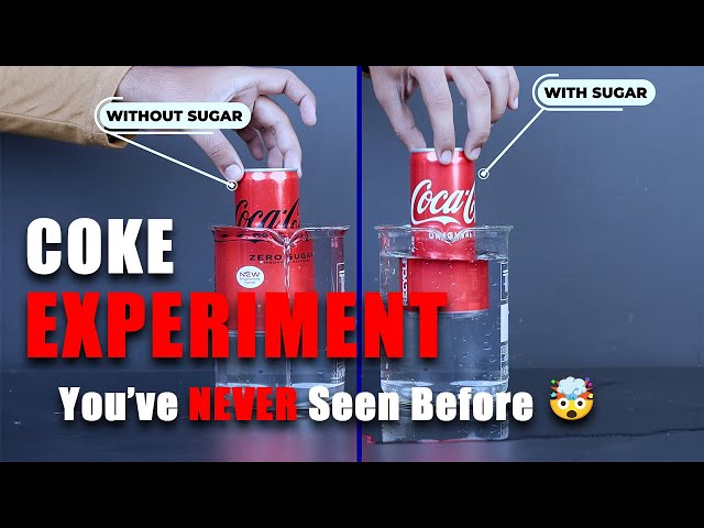 3 Easy Science Experiments for School | Fun & Safe Projects for Students