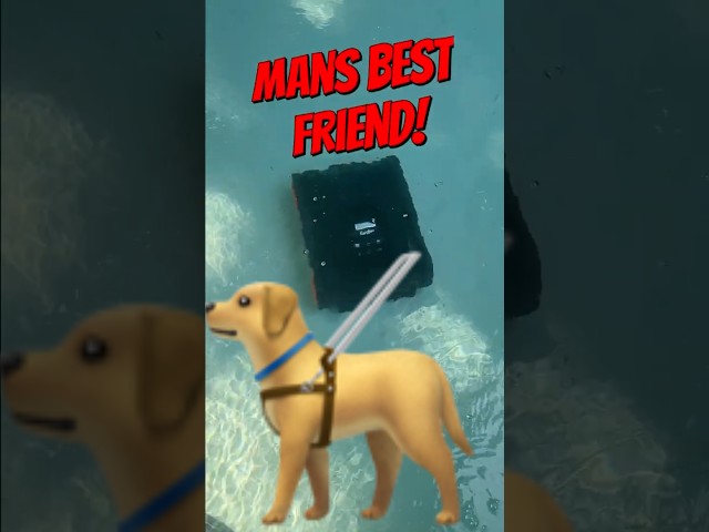 My Vote for Man's Best Friend! 💯🔥