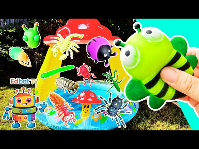 Toy Learning Fun | Kids Learn Bug Insect Names at the Toadstool Pool: Bee Woodlouse Scorpion