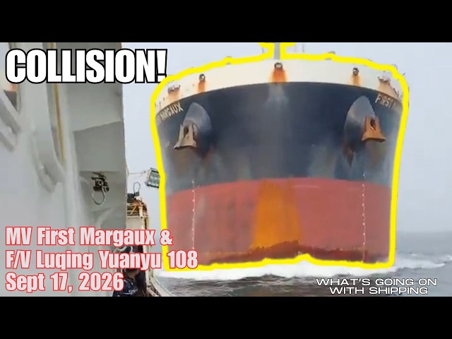 Anatomy of a Collision: How a Massive Bulk Carrier Collided with a Fishing Boat in Singapore