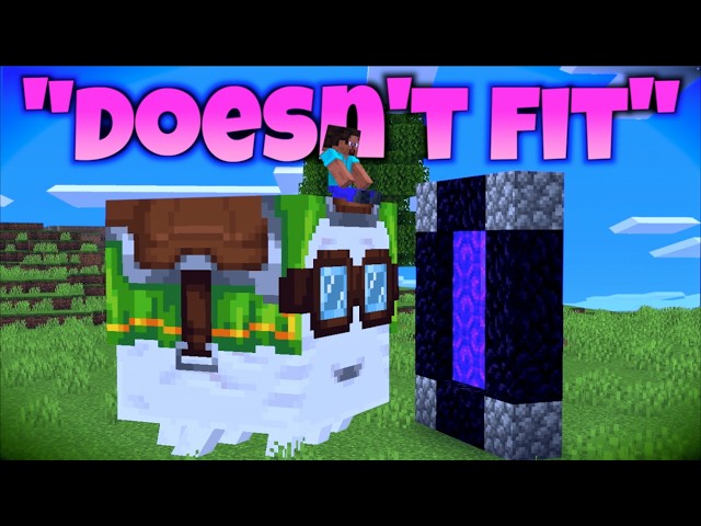 The DUMBEST Speedrun Idea