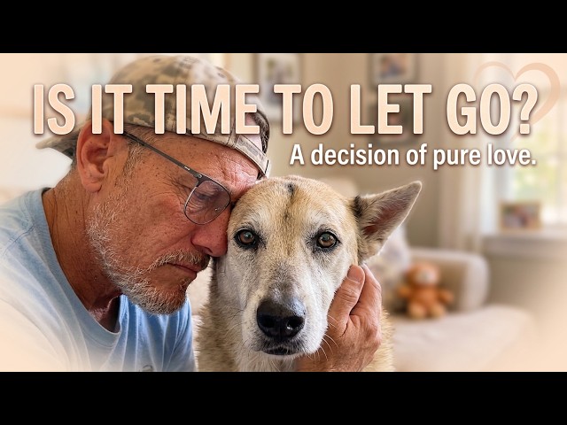 My Dog Is Fighting for Her Life… But I Have a Terrible Decision to Make