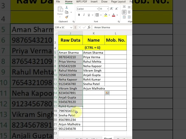 Separate Data Like a Pro! | Excel Text to Columns Trick