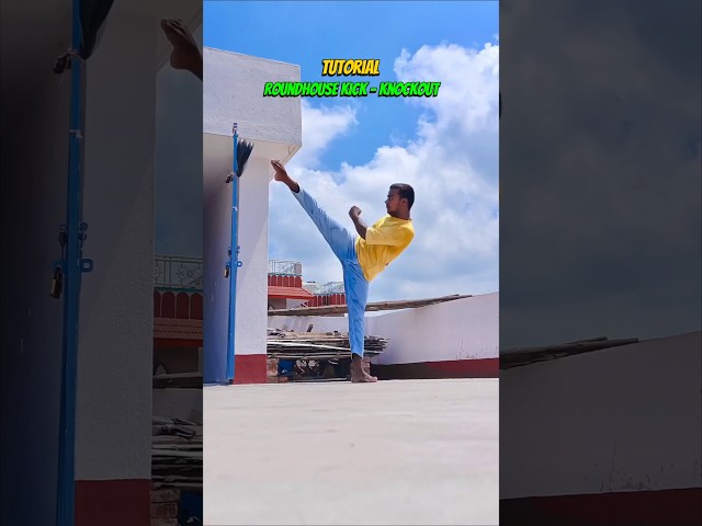 Roundhouse Kick Tutorial 🔥#shorts