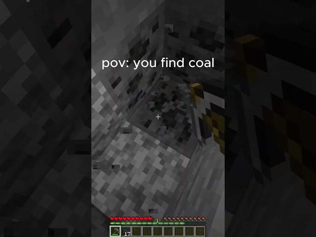pov: you find coal in Minecraft #minecraft #minecraftmemes