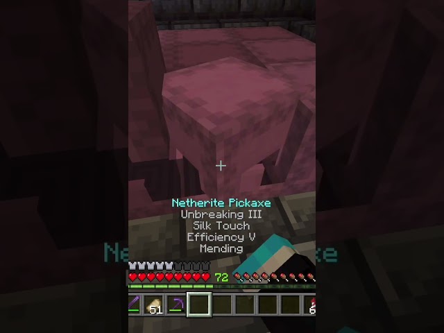 I Found ANOTHER Bug… #minecraft #minecraftbedrock