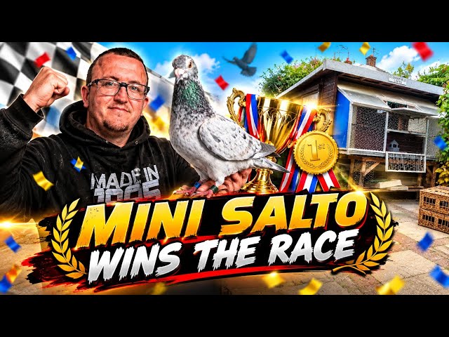 MINI SALTO WINS THE RACE 🏆