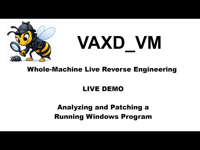 VAXD_VM: Reverse Engineering a Running Windows Program from Outside the VM