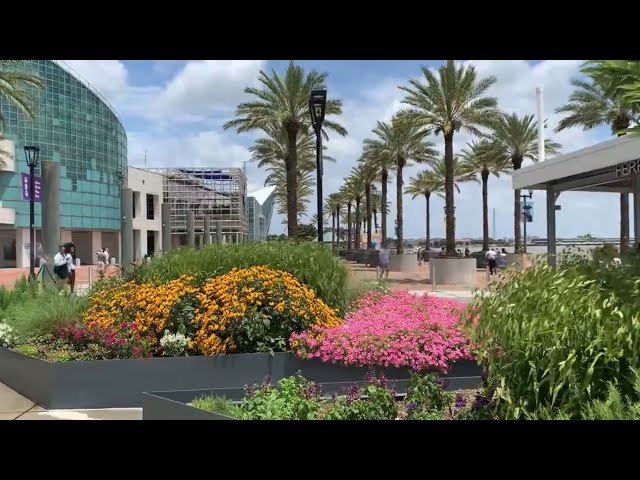 #roadtrip #travel #frenchquarter #holiday #holidayseason #viralvideo #travelogs #solotrip