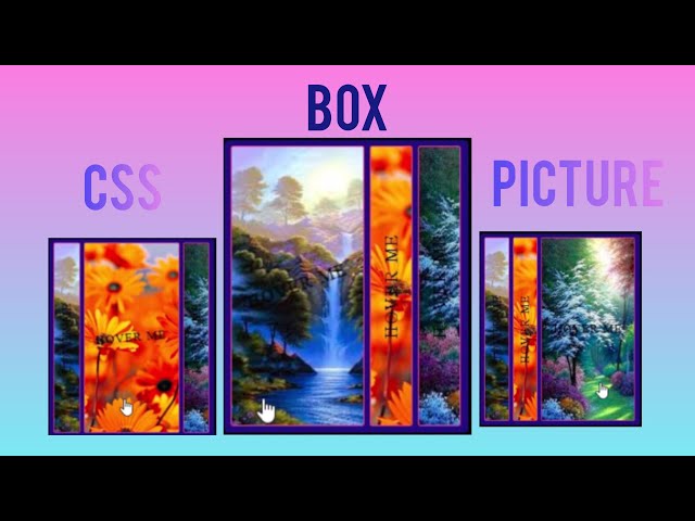 Amazing CSS Hover Picture Effect | Creative Image Box Animation